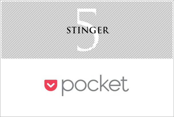 stinger5-pocket-2